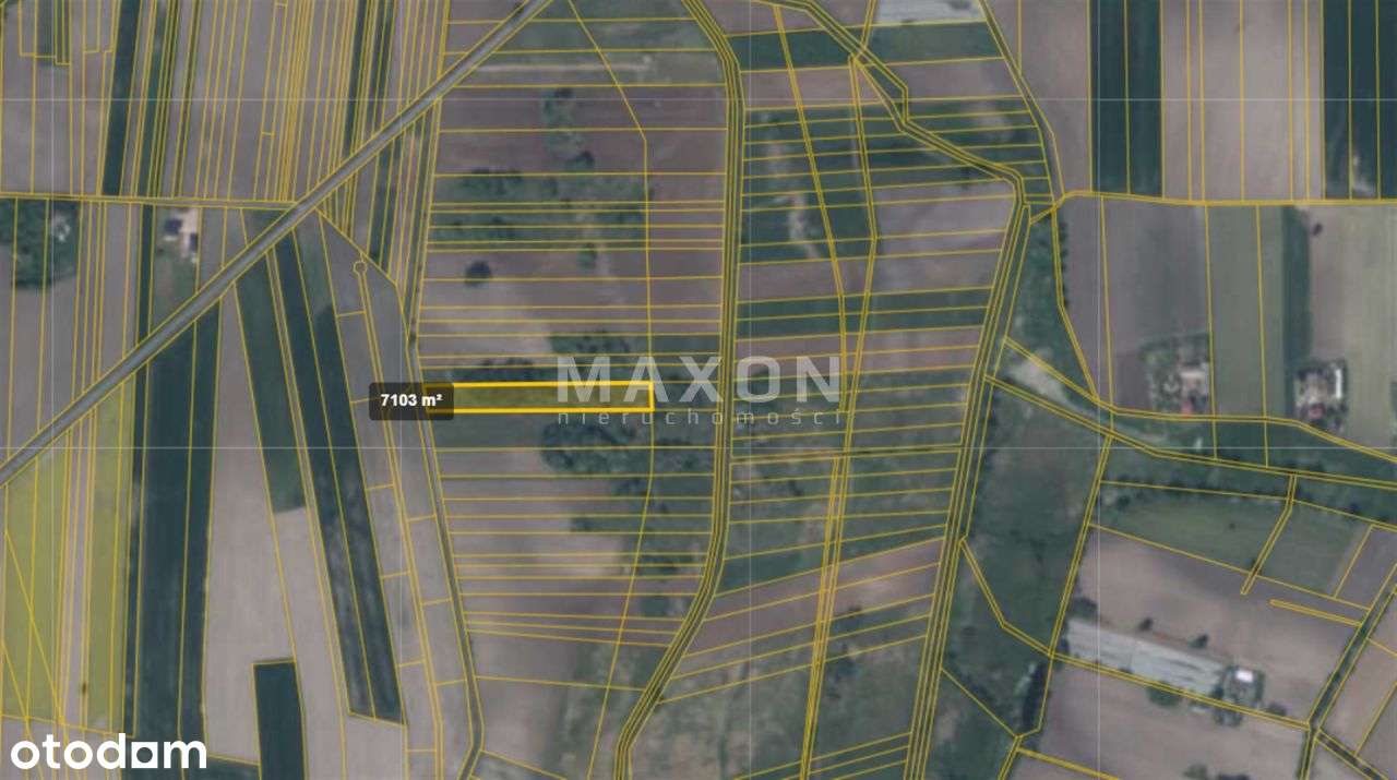 Baranów, Osiny Działka Siedliskowa/Rolna 0,71 Ha - Pełny obrazek: 5/8