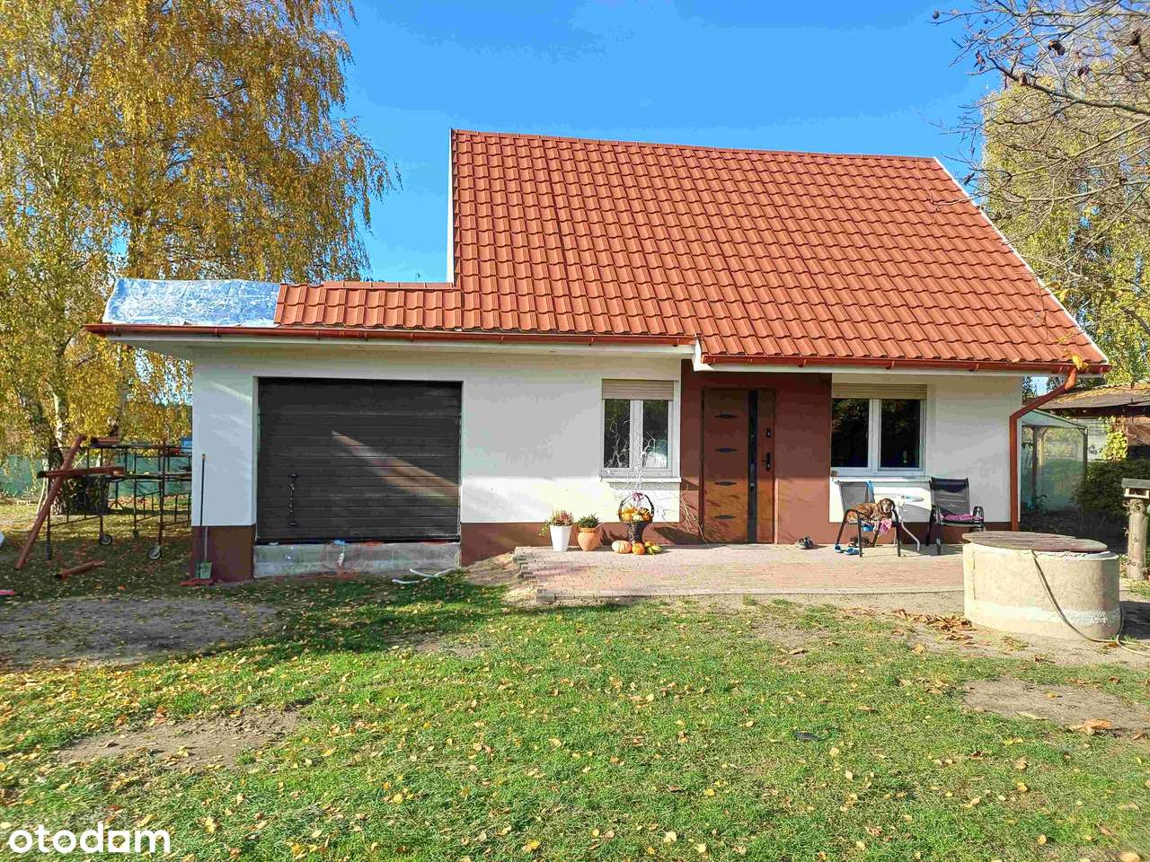 DWA DOMY na dużej działce w Dolinie Baryczy - GOGOŁOWICE - Pełny obrazek: 4/20