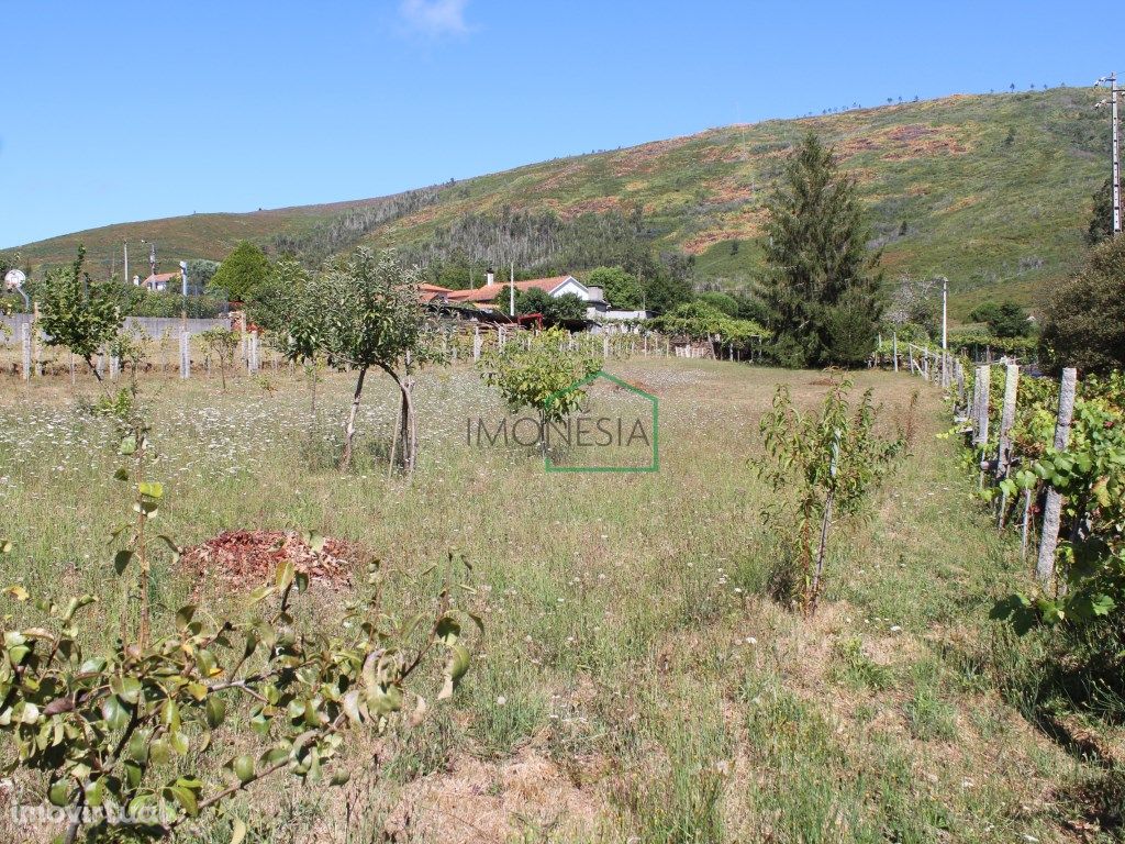 Terreno plano em Venade