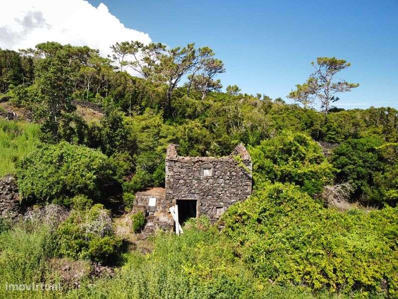 Terreno Urbano + Terreno Rústico Carregadouro - Grande imagem: 4/5