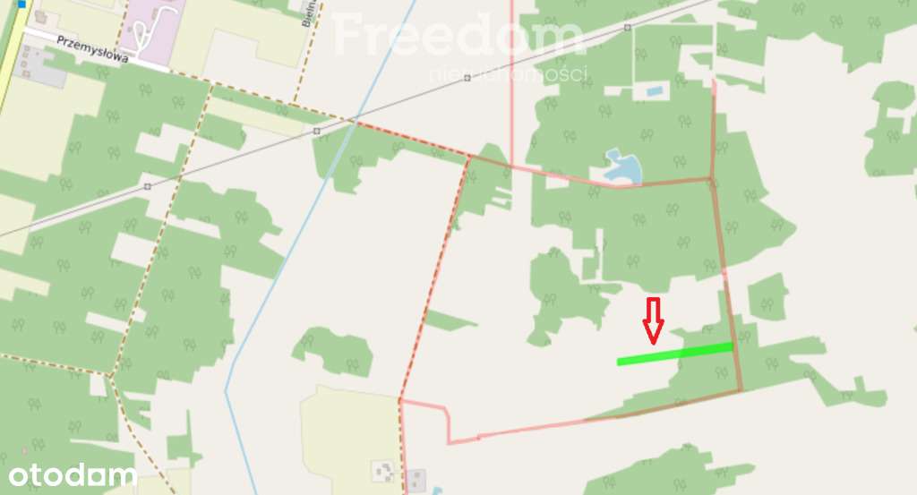 Działka rolna - łąka/pastwisko - Pełny obrazek: 2/2