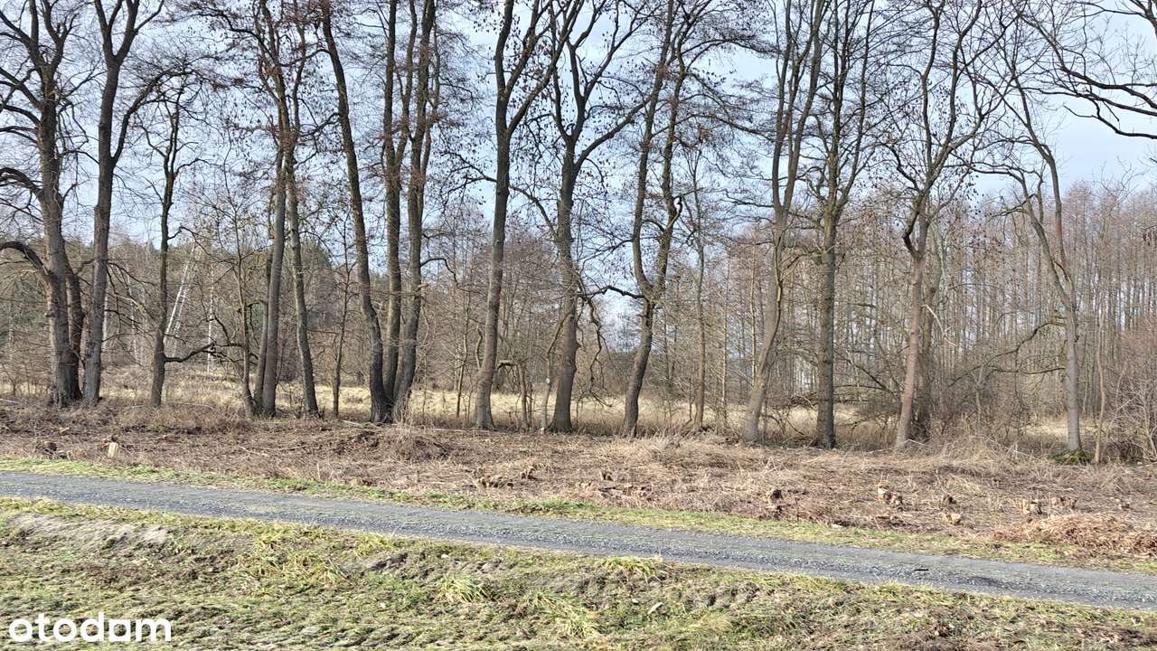 Działka przemysłowa Nowa Sól , 1484m2.-2