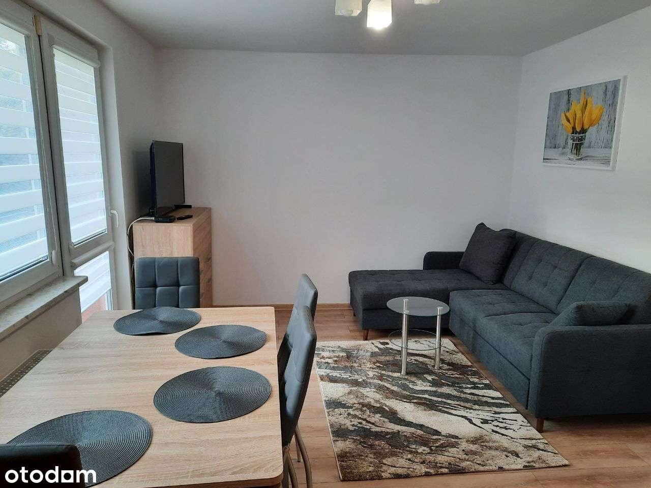 Mieszkanie dwupokojowe 48m2 w centrum z parkingiem - Pełny obrazek: 2/12