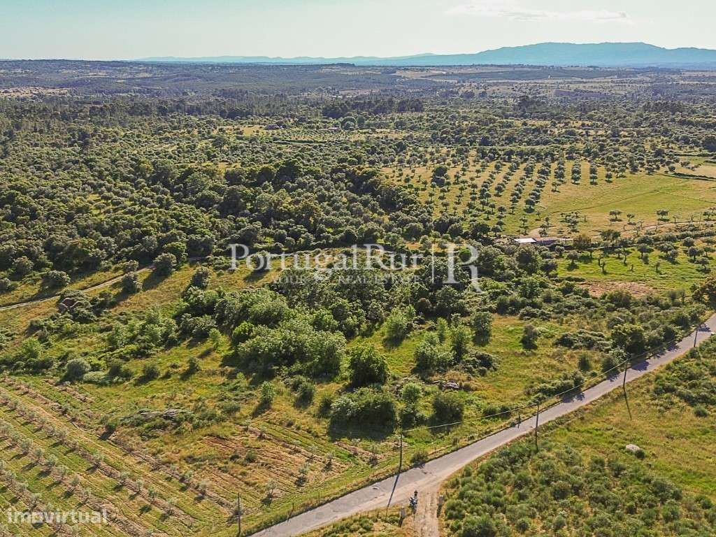 Quinta com 19,6 hectares ideal para projetos agroflorestais - Grande imagem: 4/27