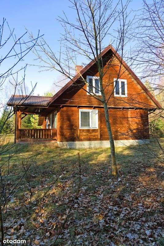 Drewniany dom w podmiejskich Skrybiczach. - Pełny obrazek: 4/15