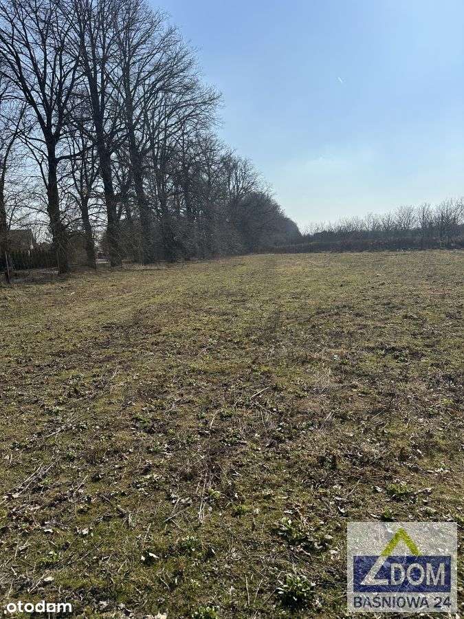 Nasutów - działka budowlana przy Al.Lipowej-2