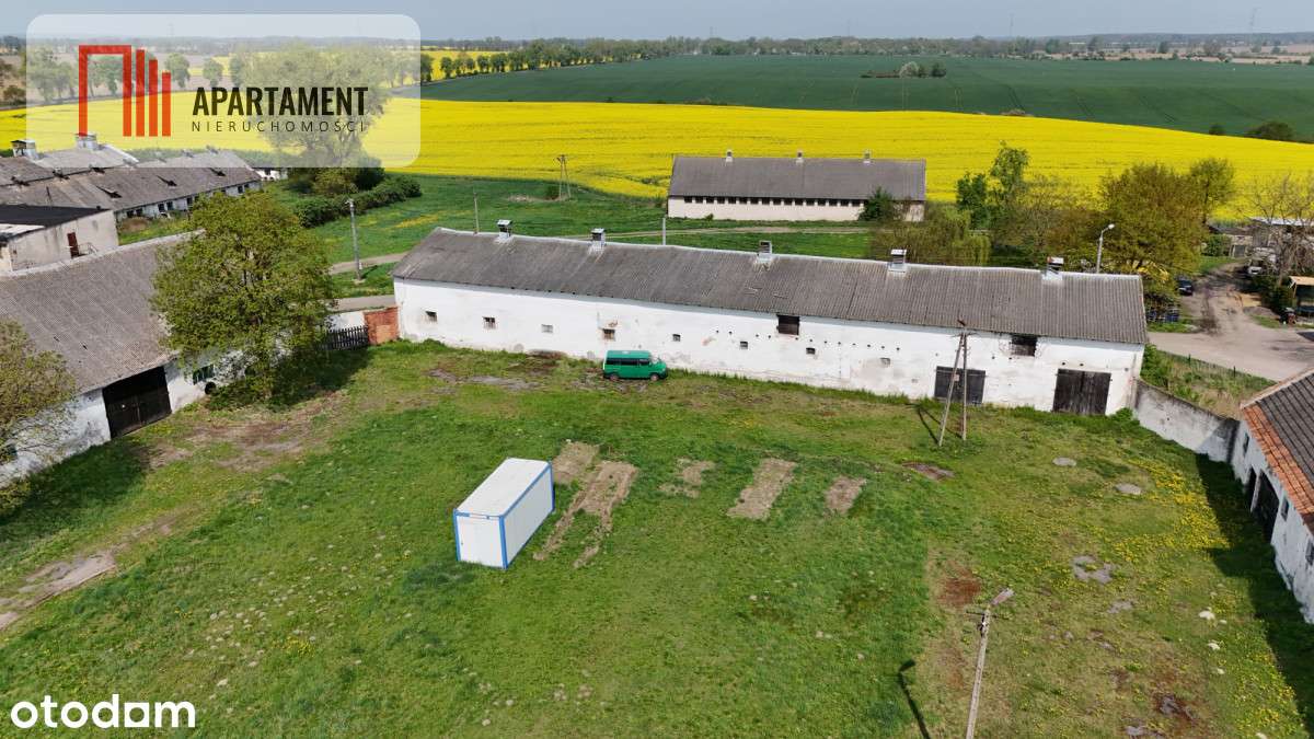 Gospodarstwo Rolne, dawny Pgr - Hale - Pełny obrazek: 4/16