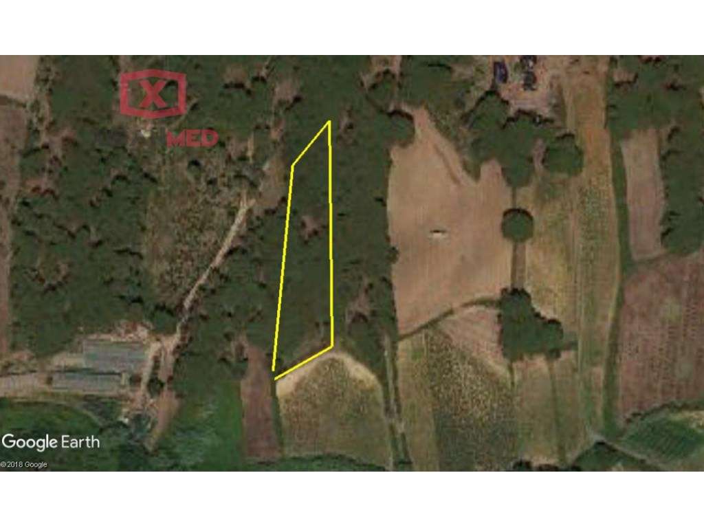 Terreno Rústico - Grande imagem: 4/5