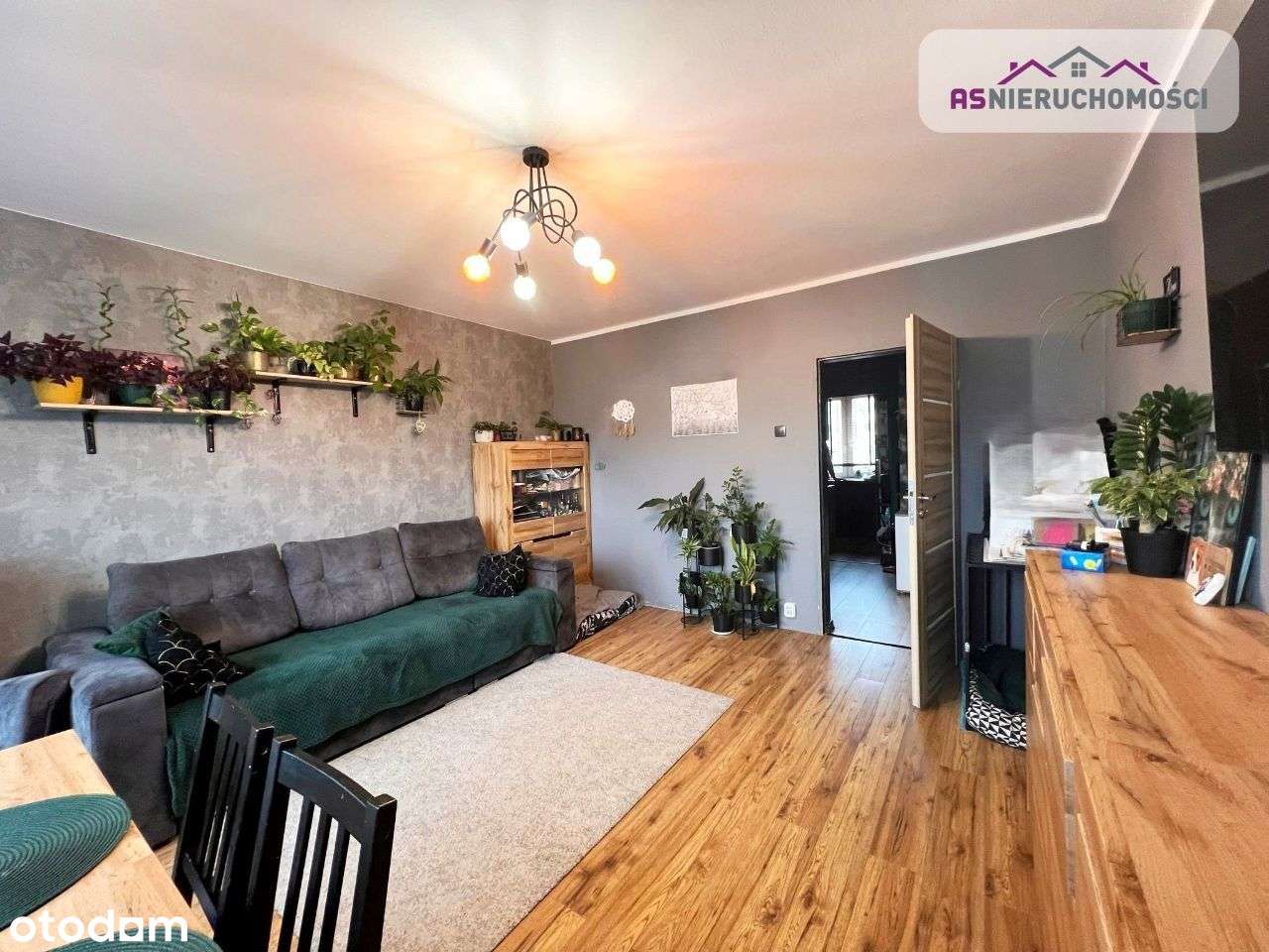 3 pokoje, LOGGIA, IDEALNE dla Obcokrajowca - Pełny obrazek: 3/16