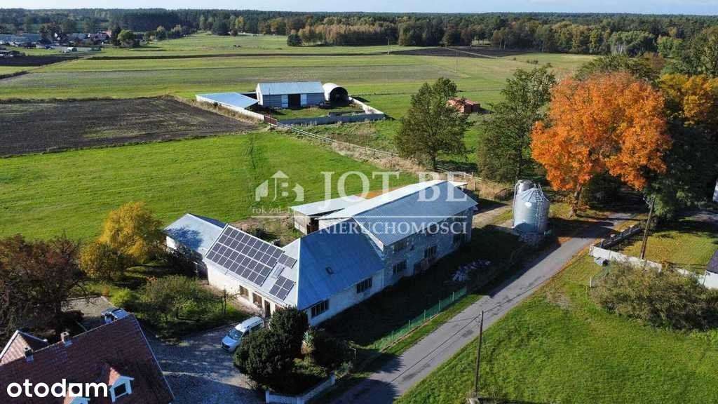 30 działek 12 ha potencjał rolniczy i inwestycyjny - Pełny obrazek: 4/20
