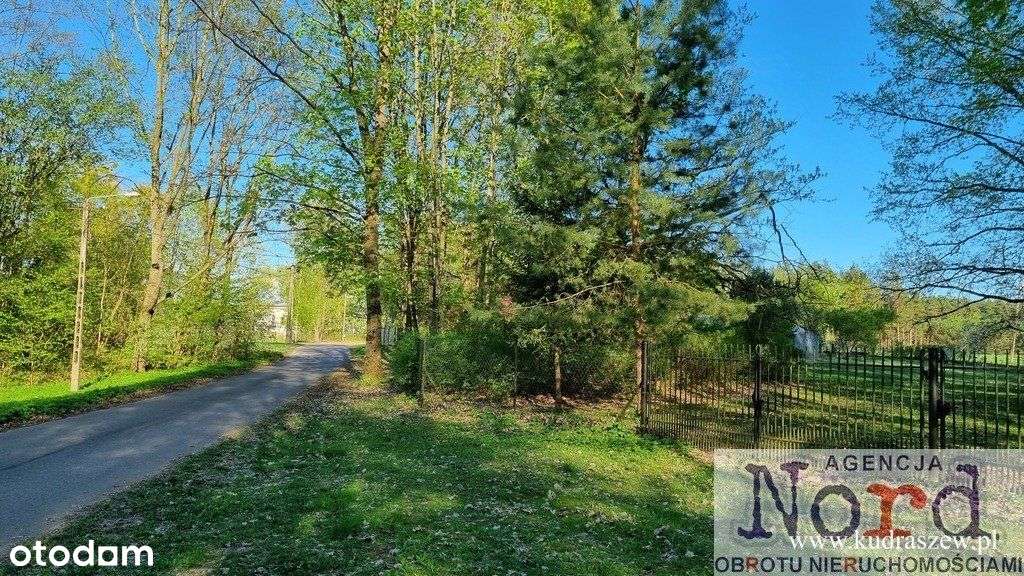 Działka w pobliżu Augustowa - Pełny obrazek: 4/12