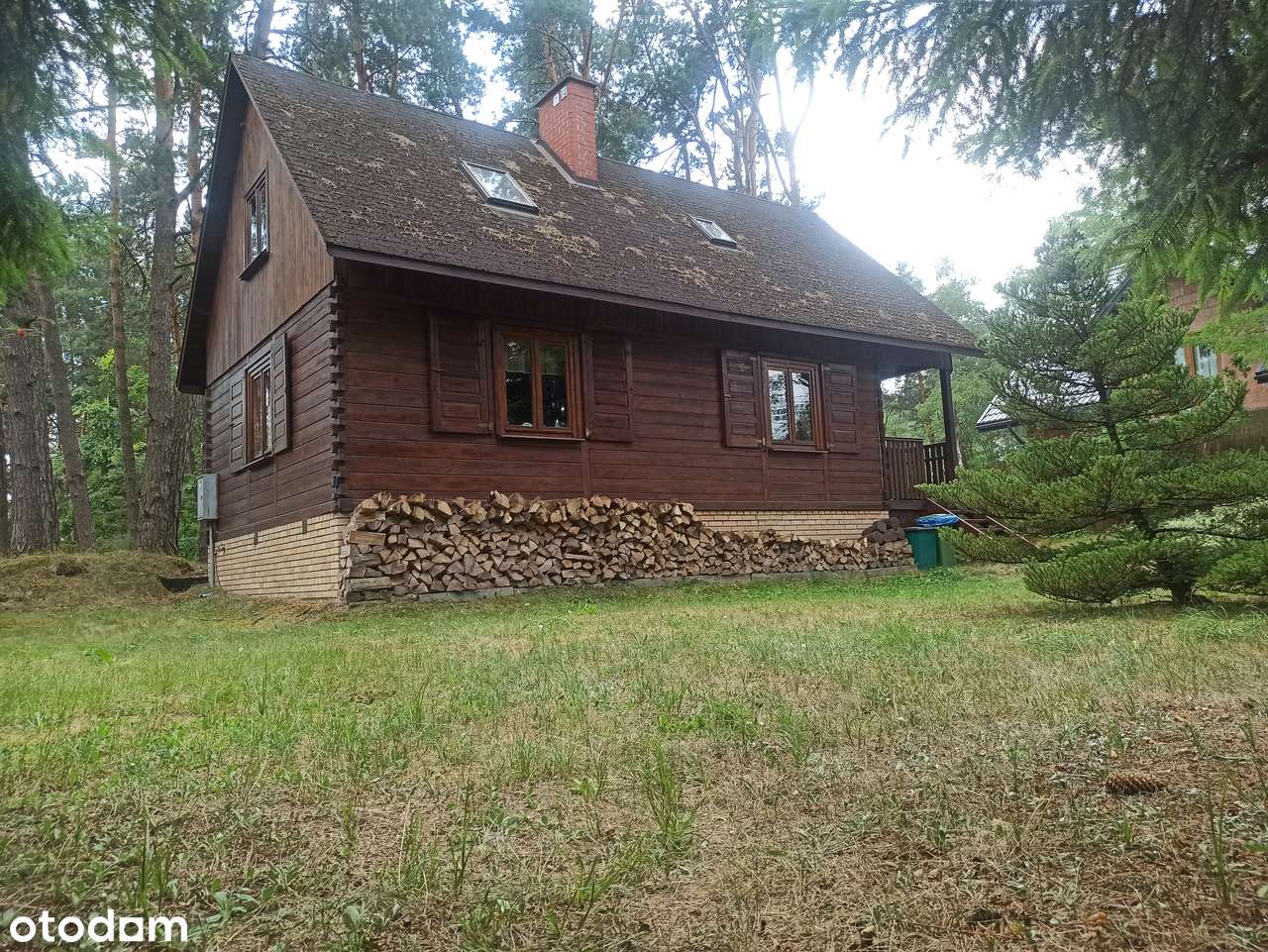 Dom  100 m2  rekreacyjny w lesie na Roztoczu blisko rzeki Tanew - Pełny obrazek: 4/14