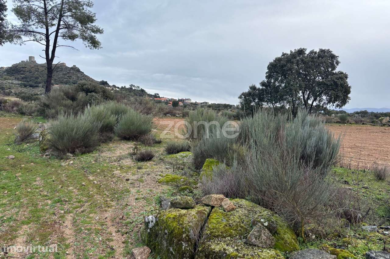 Terreno Rustico em Marialva- Guarda