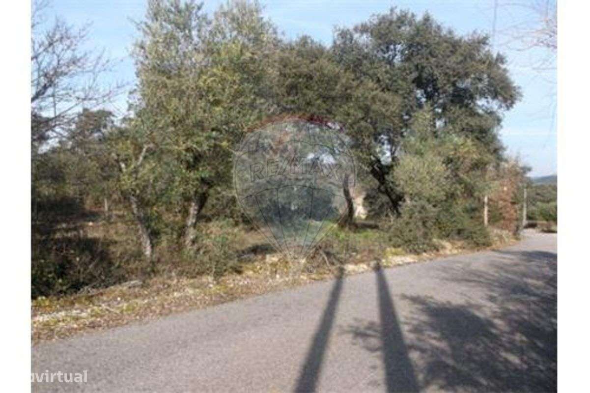 Terreno para construção - Grande imagem: 2/4