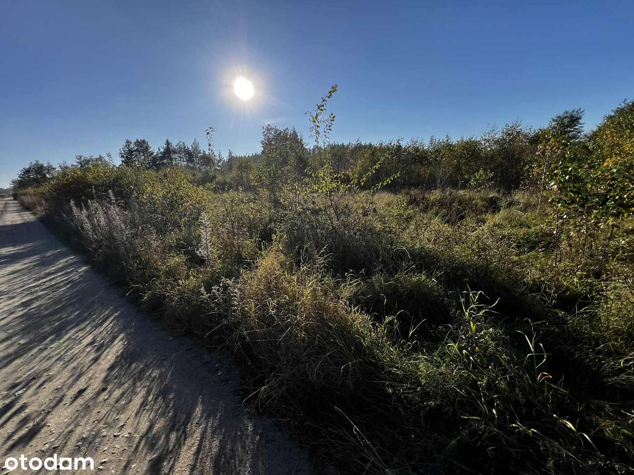 Teren pod produkcję , usługi i magazyny w Dąbrówce  niedaleko Arkabud-3
