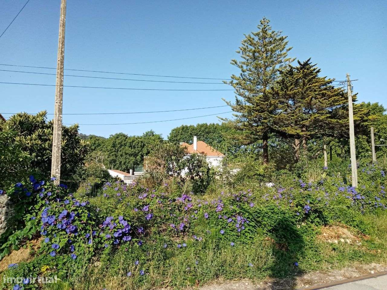 Terreno urbano em Colares-7