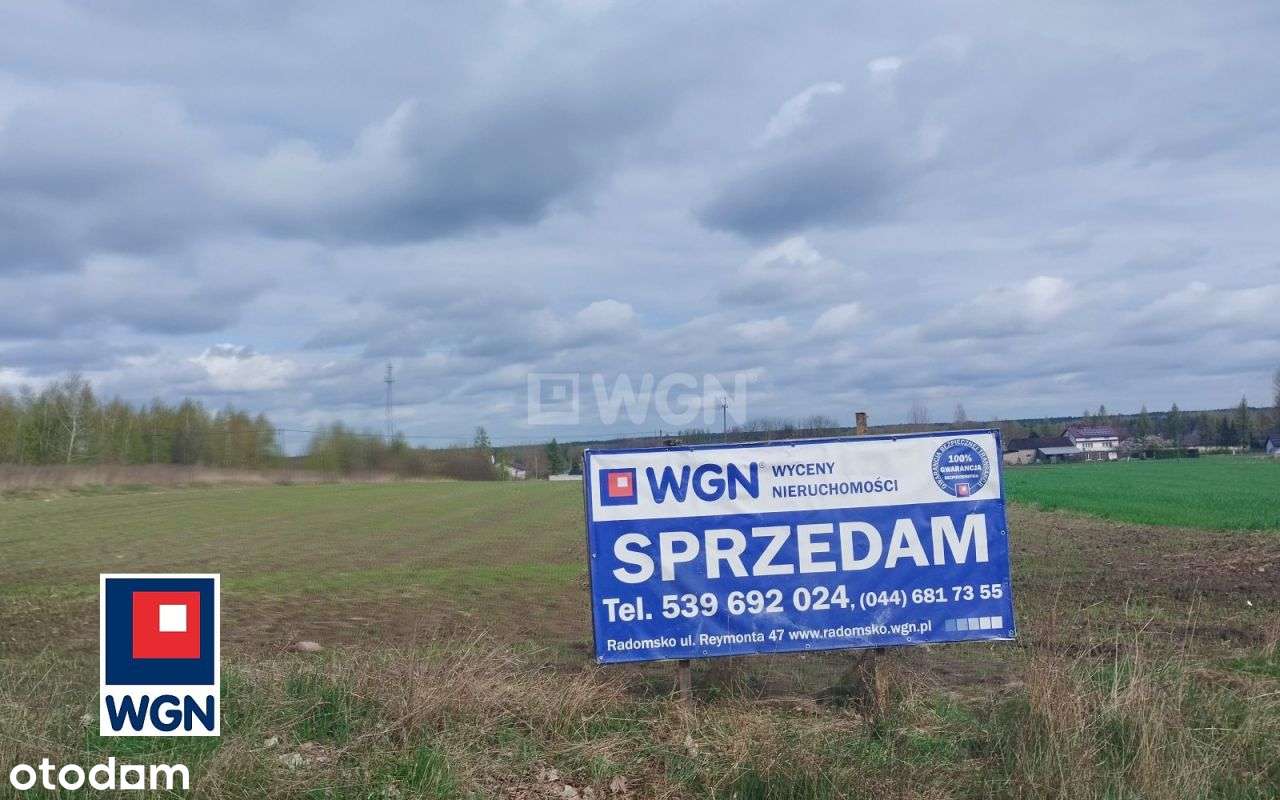 Działka, 2 826 m², Kodrąb-6