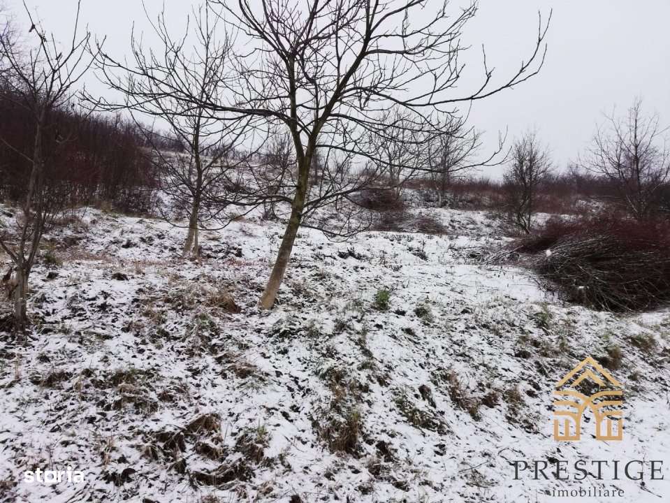 Teren intravilan de vanzare in zona Gheorghe Doja-Oradea - Imagine principală: 3/5