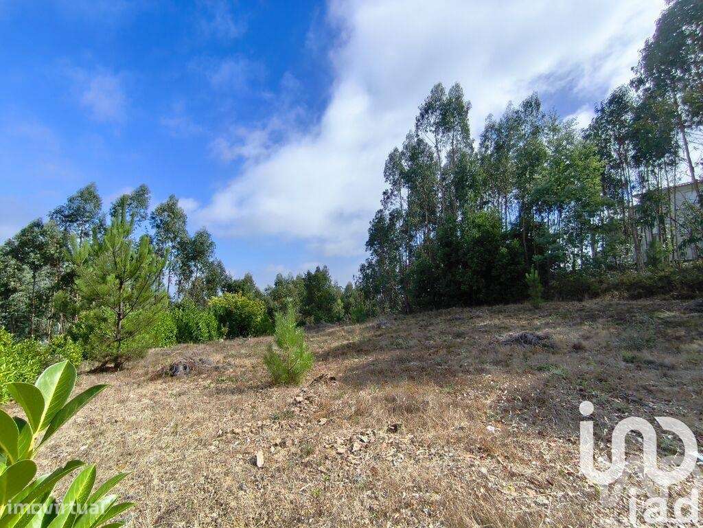 Terreno para construção em Semide e Rio Vide - Grande imagem: 4/24