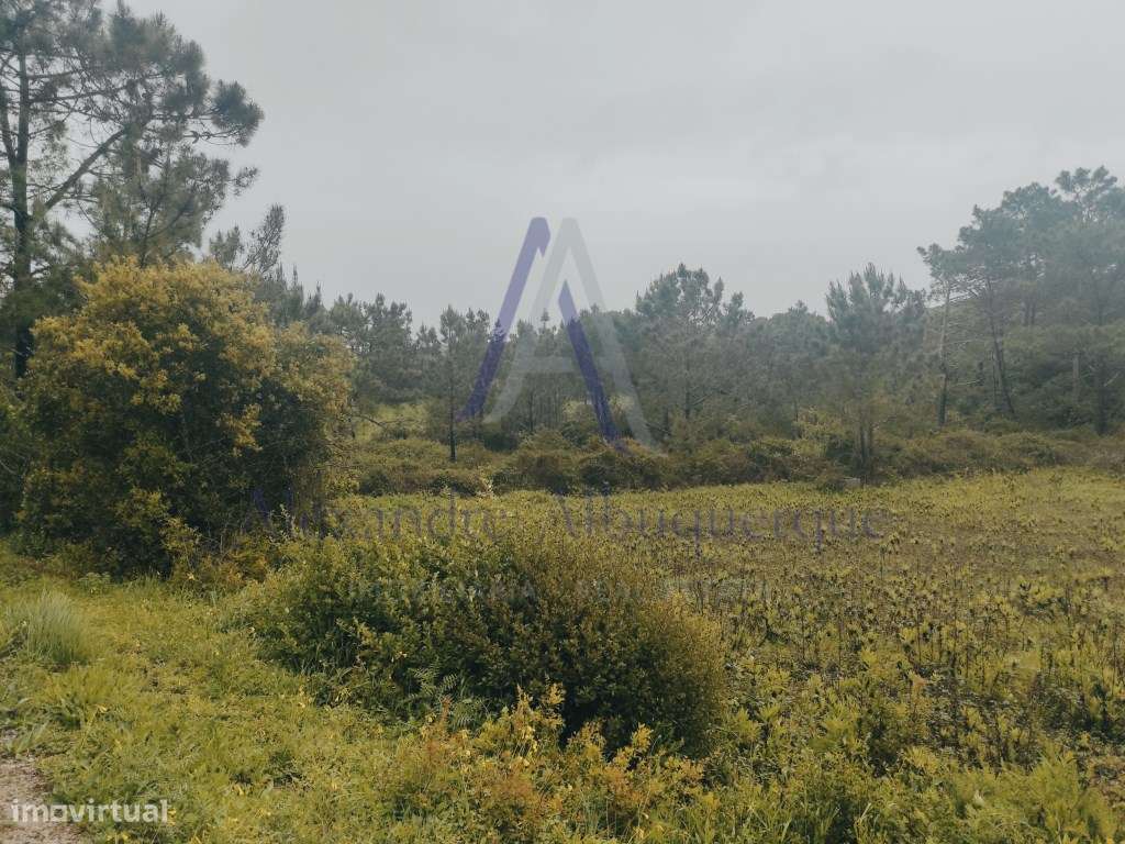 Terreno Rústico à Venda - 13.875 m² | Entre Aldeia do Meco e Azoia - Grande imagem: 2/5