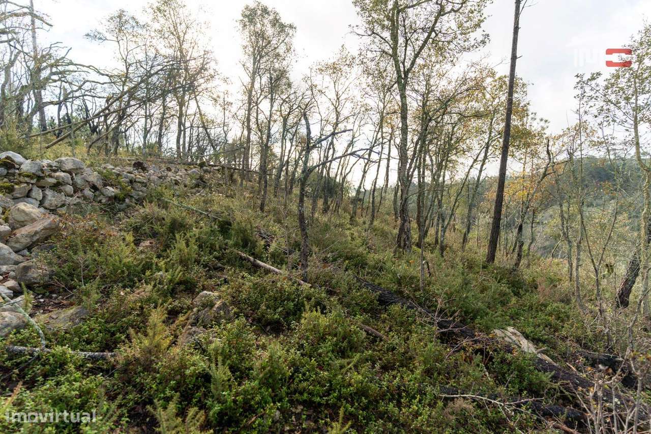 Terreno Rústico, Chainça - Grande imagem: 4/9