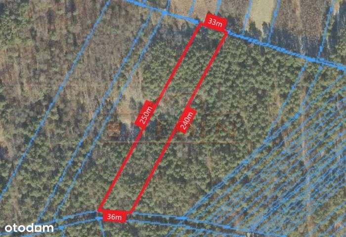 Działka 0,83 ha w okolicy Zalewu Zimna Woda w Łukowie - Pełny obrazek: 2/4