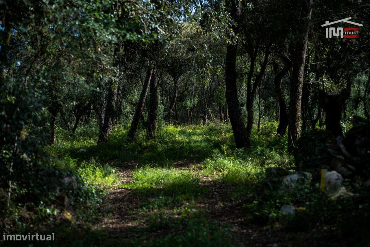 TERRENO COM AREA DE 4280 M2 COM VIABILIDADE DE CONSTRUÇÃO JA TEVE P... - Grande imagem: 4/11