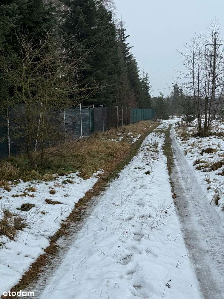 Bezpośrednio, atrakcyjna działka budowlana - Bugaj, gm. Pobiedziska - Pełny obrazek: 4/13