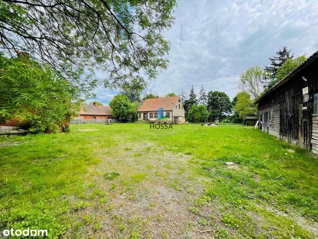 Siedlisko dla ludzi z pomysłem - Pełny obrazek: 4/19