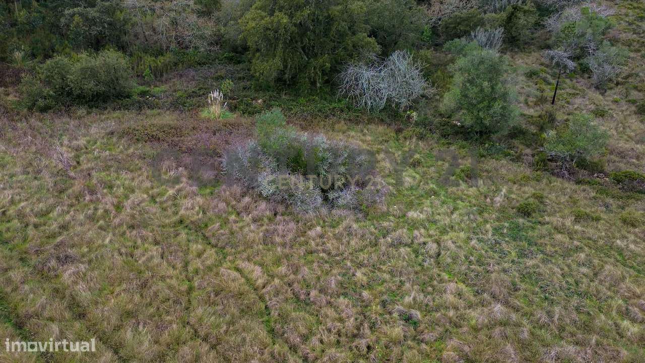 Terreno rústico 21.320 m² – Vale de Almornos (Sintra)-15