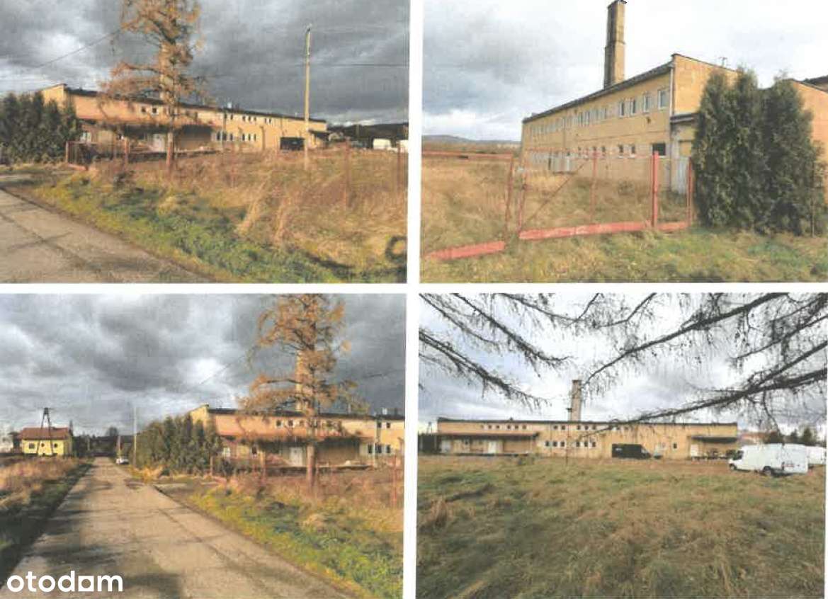 Sprzedaż: działka 6489 m2 z budynkami po byłej piekarni-1