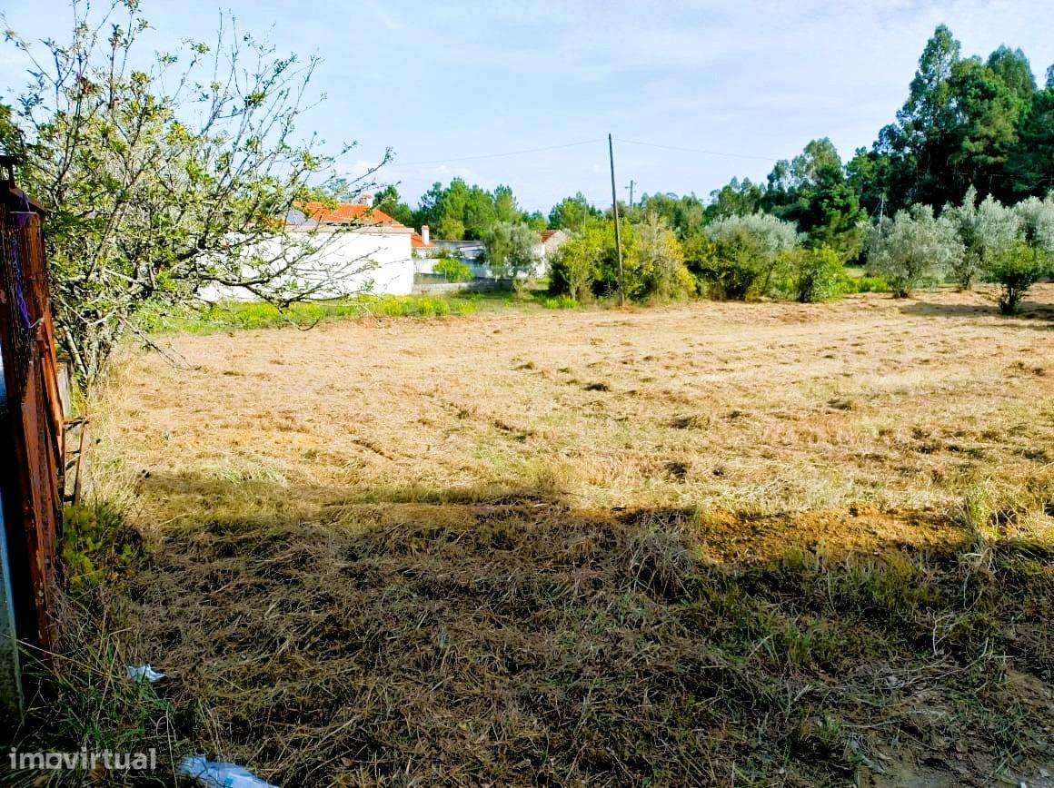 Moradia Isolada na Mealhada – Oportunidade Única, Pronto Pagamento-16