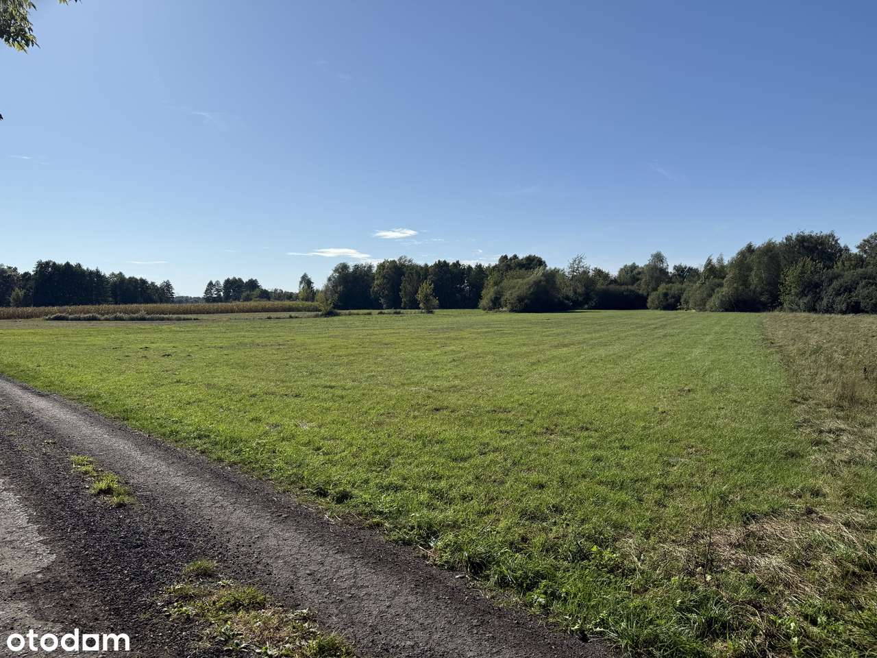 Działka inwestycyjna 7730 m² media,sąsiedztwie CPK– kup dziś 110 zł/m² - Pełny obrazek: 4/7