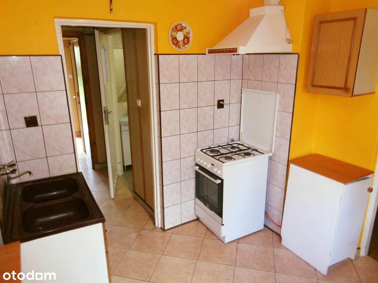 Okolice Ślesina – Dom wolnostojący-15