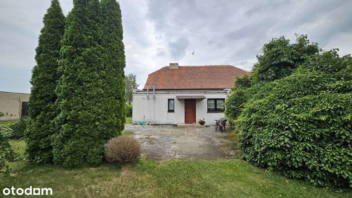 Dom (100 mkw.) Działka (3 854 mkw.) Michalin, Buk-7