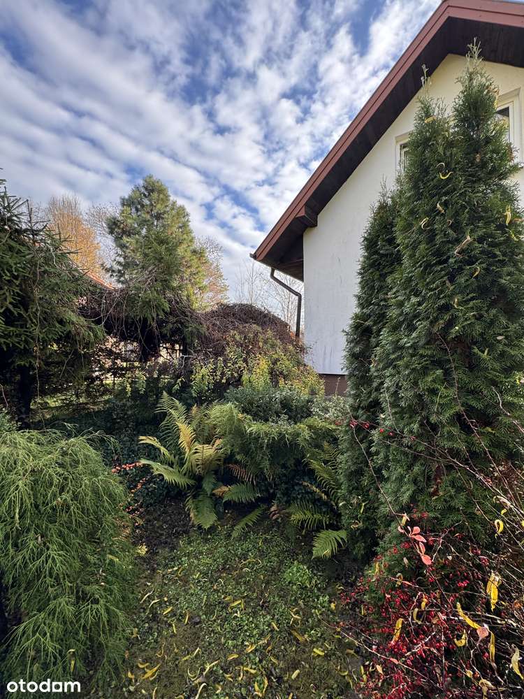 Zaczarowany ogród pod Wojciechowem - garaż, warsztat, piwniczka/schron-15