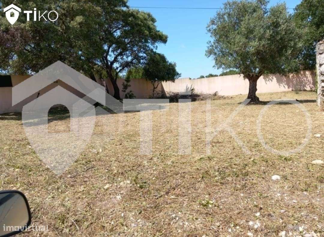 TERRENO 100% URBANO EM TORRES NOVAS - Grande imagem: 4/29