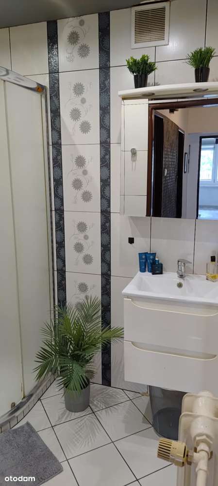 Duże, ustawne trzy pokoje w centrum miasta-12