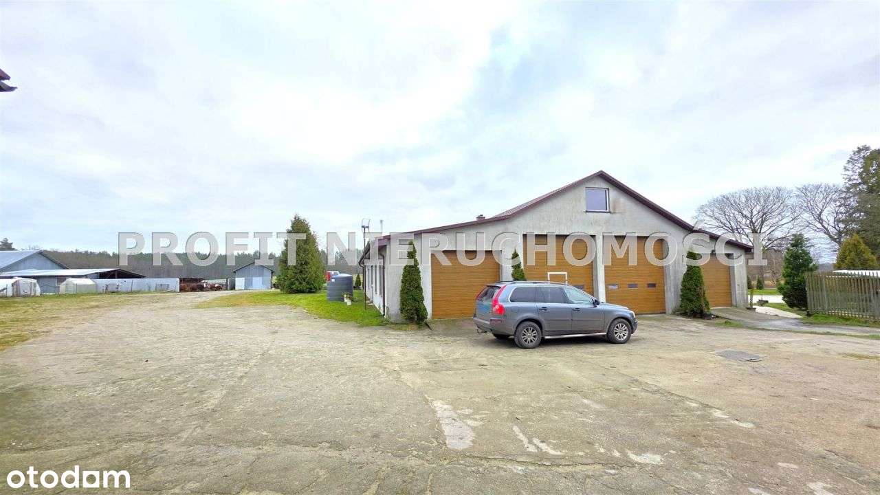 Duże gospodarstwo z zabudowaniami i działkami - Pełny obrazek: 2/20