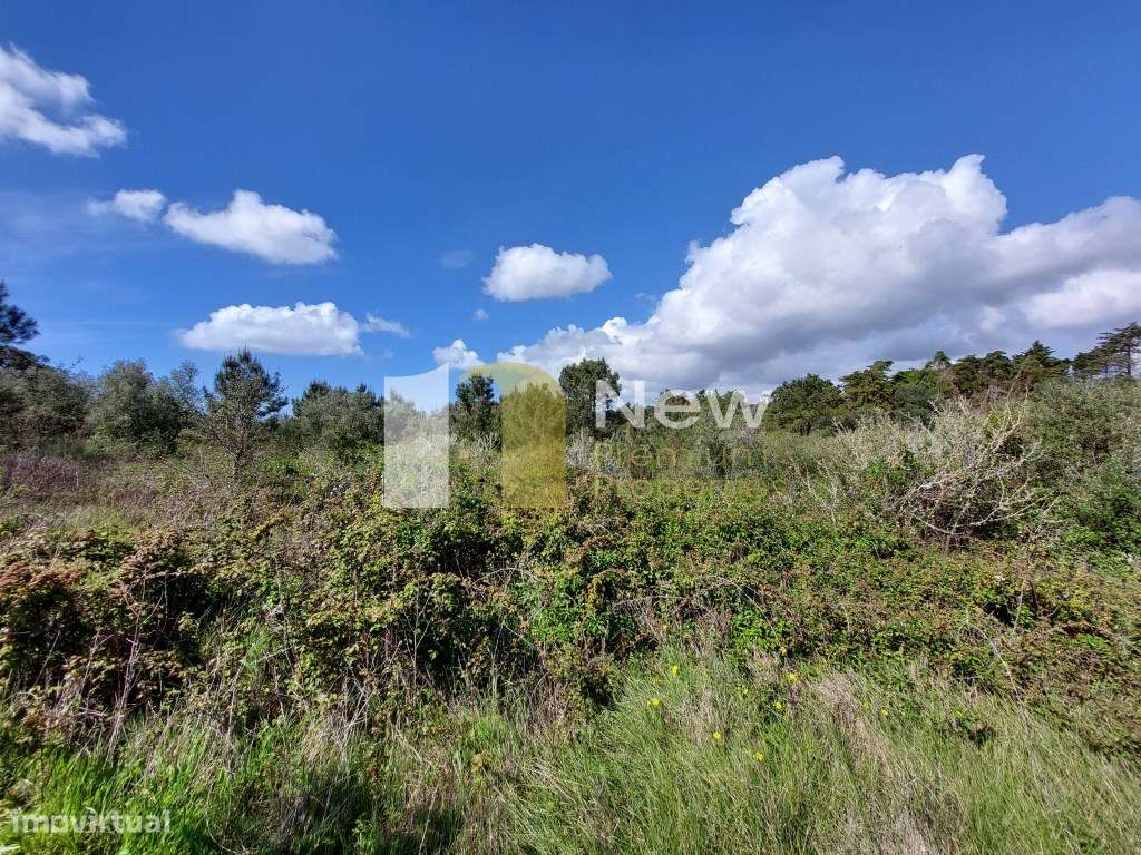 Terreno Urbano na Cabreira - Zambujal de Cima. - Grande imagem: 5/9