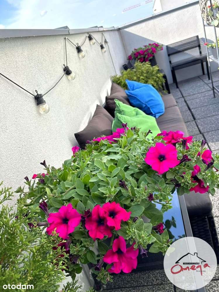 Komfortowy apartament-13