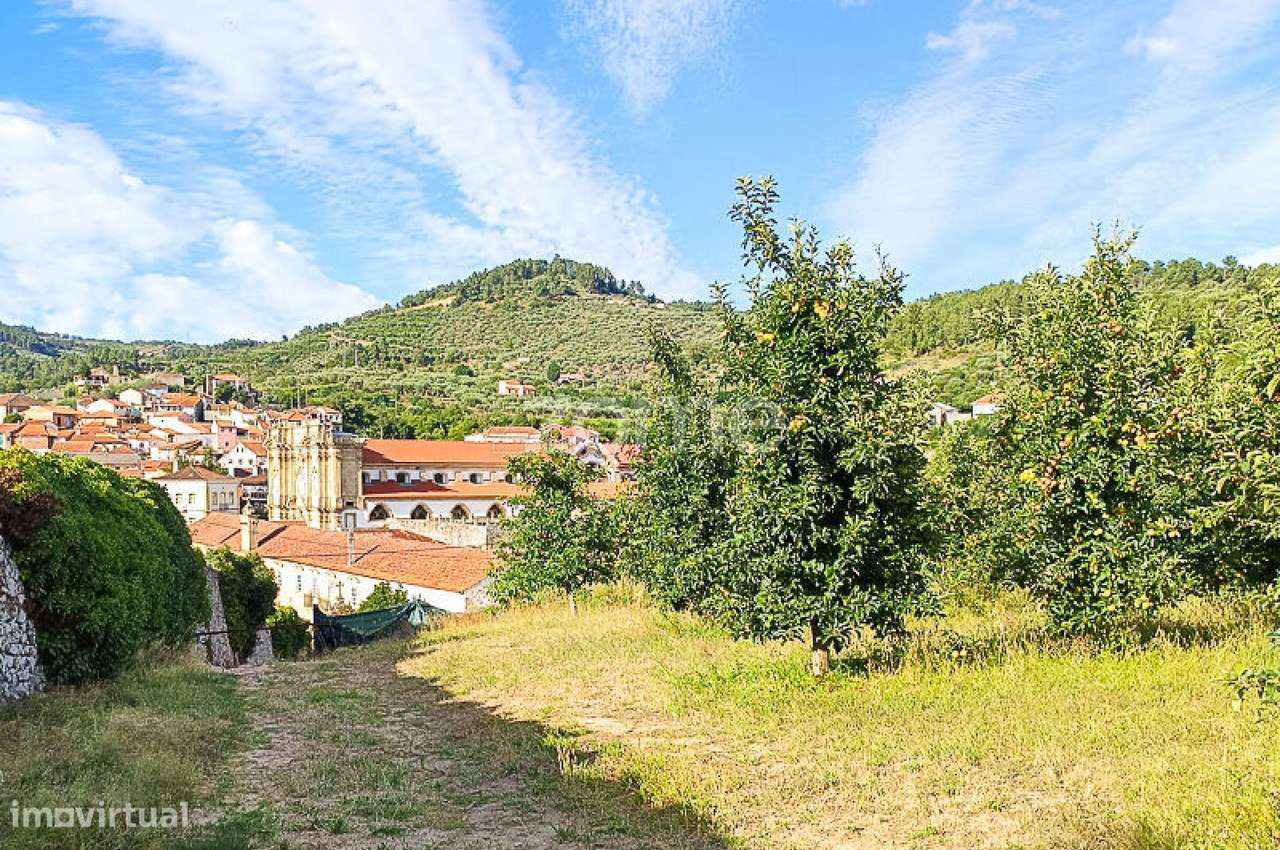 Quinta do Mosteiro de Salzedas com mais 17 ha e património histórico-11