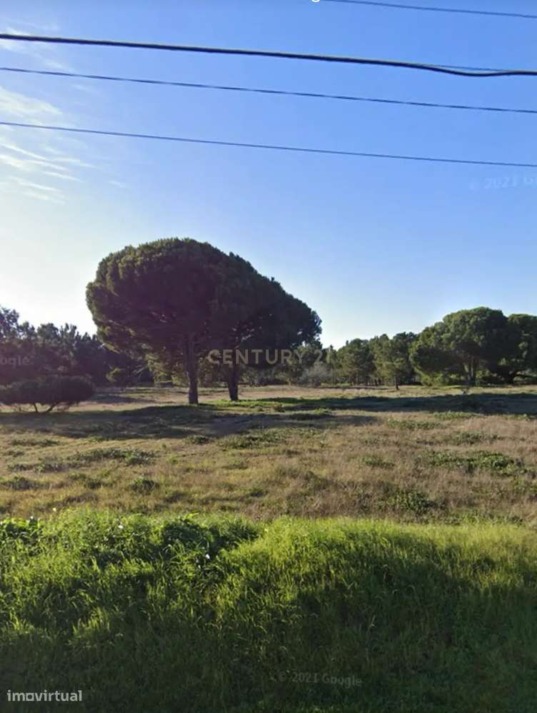 Terreno com 5000m2 na zona da Aldeia do Meco / Sesimbra - Grande imagem: 3/11