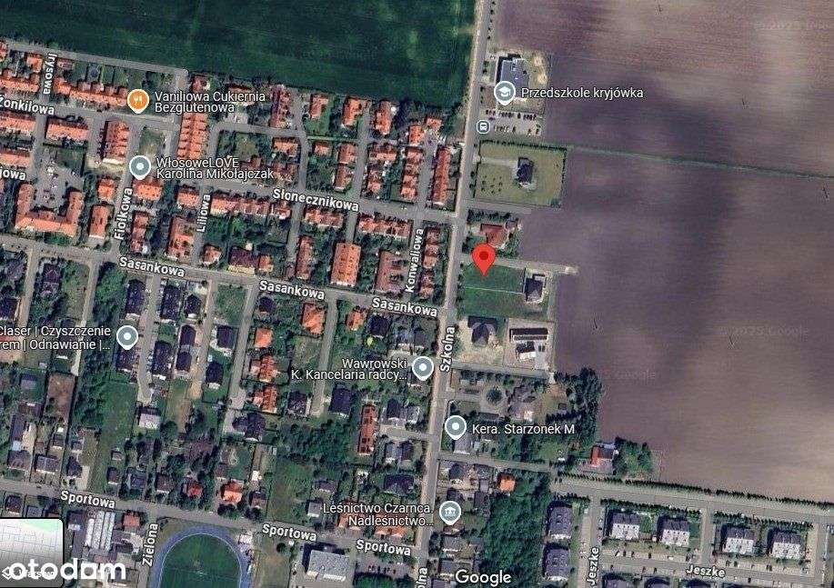 Lokal biurowy ul. Szkolna Tarnowo Podgórne - Pełny obrazek: 5/7