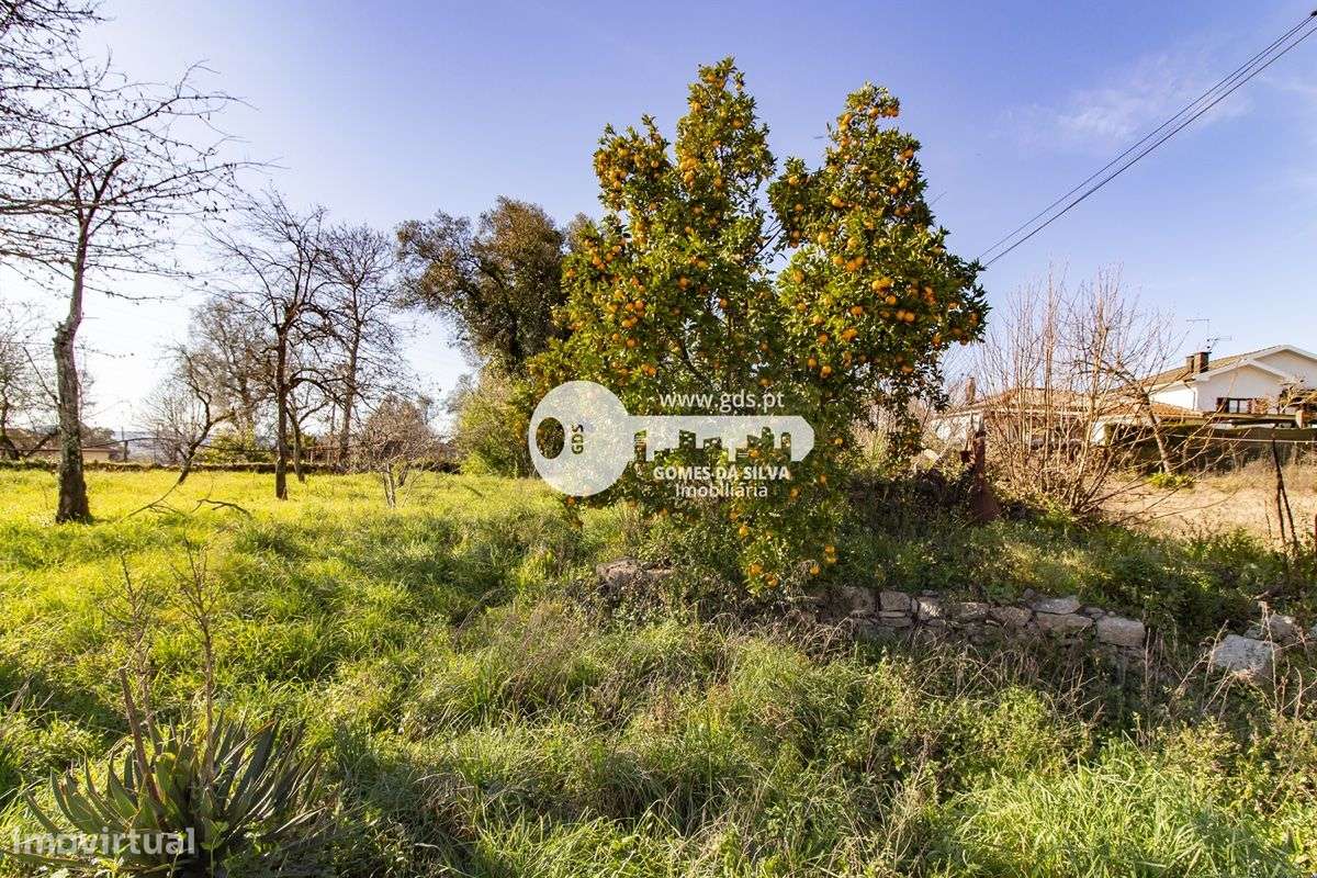 Duas moradias para restauro em Lago-16