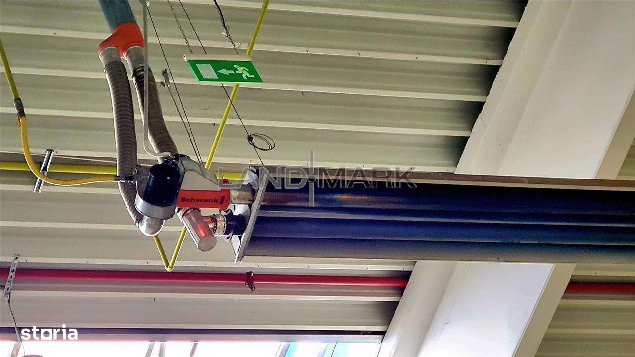 Hala industriala Timisoara, 3500 mp, Zona Lugojului - Imagine principală: 5/9