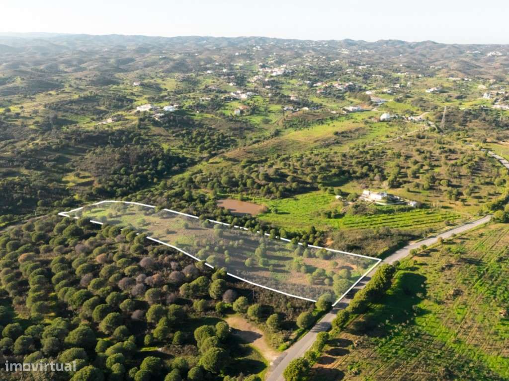 Terreno com PIP Aprovado para Moradia - Corte António Martins, Vila... - Grande imagem: 4/16