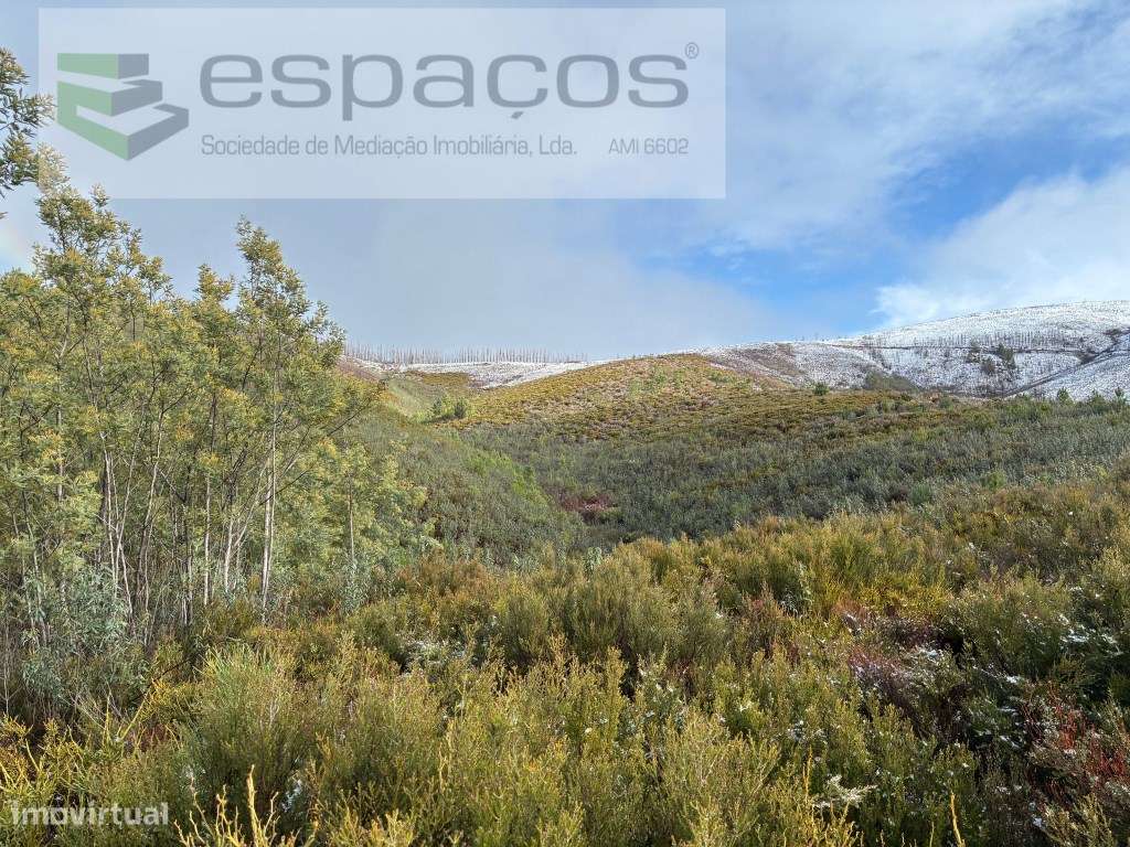 Magnifico Terreno - Grande imagem: 4/19