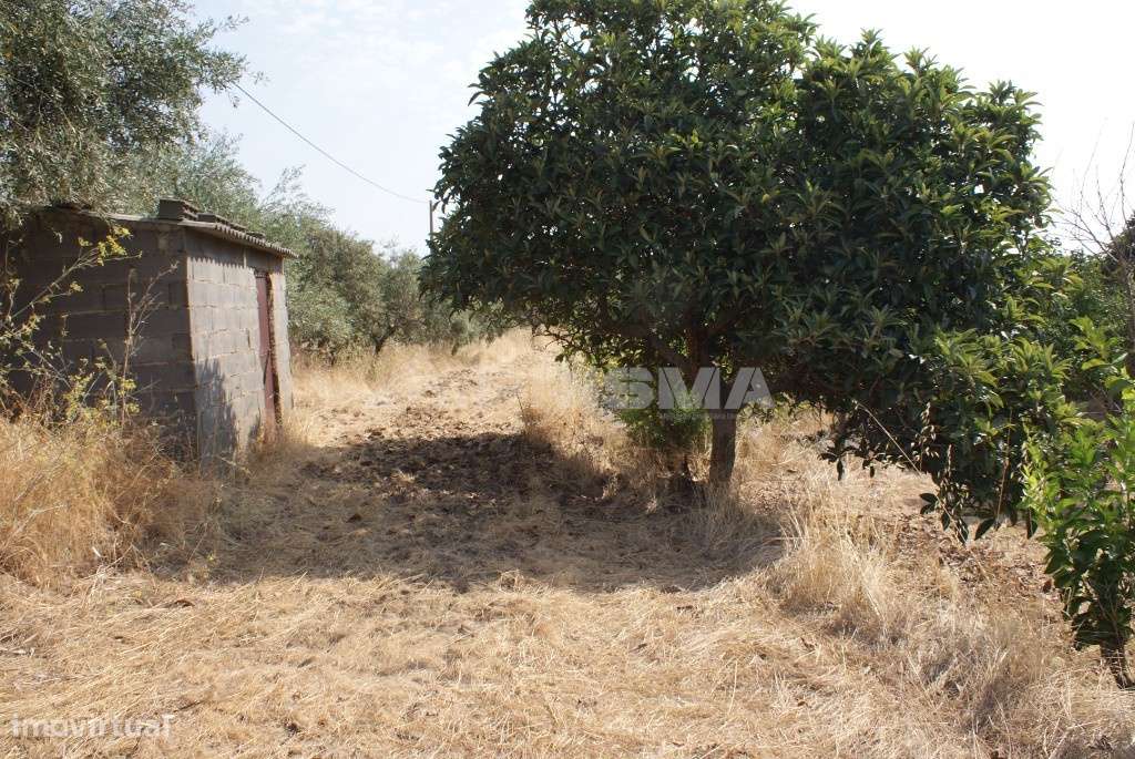 Terreno agrícola - Grande imagem: 4/12