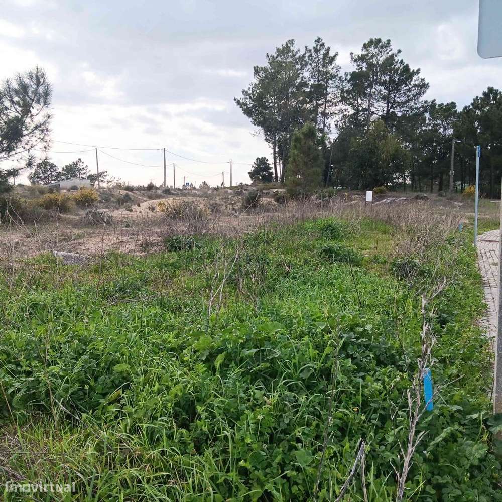 Terreno de 297m² em zona rural com acesso fácil - Grande imagem: 4/11
